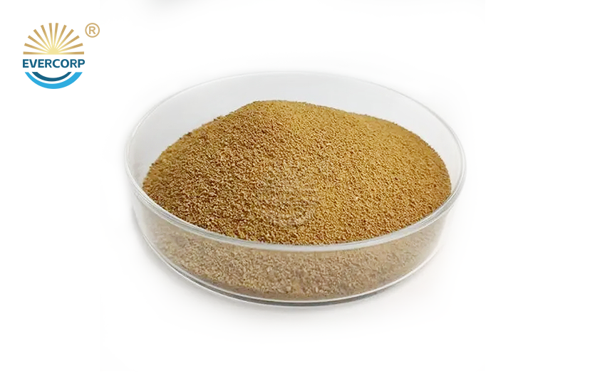 L-Lysine Monohydrochloride 98